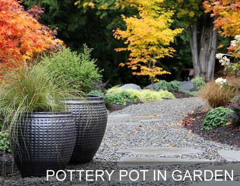 Pottery pot in Garden